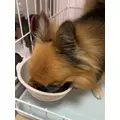 めい|船橋市 本町のキャバクラ|Donfin(ドンフィン)