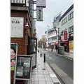 ゆきの|新宿区 歌舞伎町のラウンジ|LP TOKYO(エルピー トウキョウ)