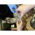 つばさ|葛飾区 立石のガールズバー|Cerisier(セリシール)