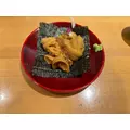 八神 ゆうこ|名古屋市 中区錦のクラブ|色錦()