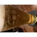 にも|新宿区 歌舞伎町のラウンジ|:(コロン)