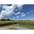 北乃 アリス|旭川市 4条通のニュークラブ|Four Season(フォーシーズン)
