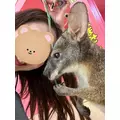 高槻 かえで|浜松市 中央区千歳町の熟女キャバクラ|gllow(グロウ)