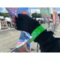 サキ|諫早市 永昌東町のキャバクラ|EDEN(エデン)