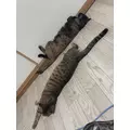 藤花 ゆの|名古屋市 中区錦のキャバクラ|KAGERO(カゲロウ)