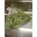 ほのか|小山市 駅東通りのキャバクラ|CIEL(シエル)