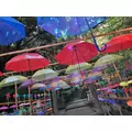 まみ|高知市 帯屋町のキャバクラ|LUCIA(ルチア)
