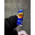 うみ|足立区 千住のキャバクラ|Donfin(ドンフィン)