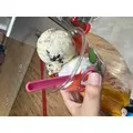 まき|葛飾区 高砂のガールズバー|Chamomile(カモミール)