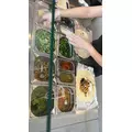 しほ|都城市 牟田町のキャバクラ|Jardin(ハルディン)