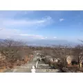 せいか|船橋市 本町のキャバクラ|Donfin(ドンフィン)