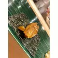 なつき|船橋市 本町のキャバクラ|Donfin(ドンフィン)