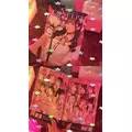 のどち スタッフ|大阪市 中央区東心斎橋のガールズバー|CHANCE(チャンス)