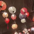 成海 まお|札幌市 すすきののニュークラブ|凛()