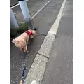 美波 あいか|札幌市 すすきののニュークラブ|Fillia(フィリア)