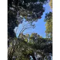 レイナ|海部郡 蟹江町錦のキャバクラ|carthago(カルタゴ)
