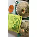 みさ|長崎市 本石灰町のニュークラブ|ADANSONIA(アダンソニア)