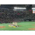 白咲 れな|福岡市 博多区中洲のキャバクラ|Cielo(シエロ)