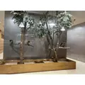 あおい|立川市 錦町の朝・昼キャバ|Mandarin Club（朝・昼）(マンダリンクラブ（朝・昼）)