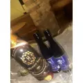 のあ|鹿児島市 千日町のガールズバー|Honey trap(ハニートラップ)