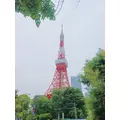 いおり|小田原市 栄町のガールズバー|& Co.(アンドコー)