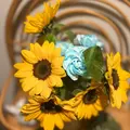せいな|千代田区 内神田のキャバクラ|Lu's Luxe Lounge(ルーズリュクスラウンジ)