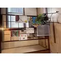 あおい|長崎市 銅座町のガールズバー|G291(ジーニクイチ)