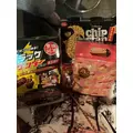 白咲 れな|福岡市 博多区中洲のキャバクラ|Cielo(シエロ)