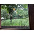 西園寺 ゆきみ|札幌市 中央区南のニュークラブ|Leicester(レスター)