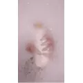姫乃 みゆな|札幌市 中央区南のニュークラブ|Leicester(レスター)