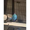 マリン|さいたま市 大宮区仲町のキャバクラ|ai(アイ)
