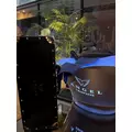 はな|港区 赤坂のキャバクラ|THE CLUB AKASAKA(ザ クラブ アカサカ)