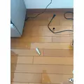 えりな|都城市 牟田町のキャバクラ|Jardin(ハルディン)