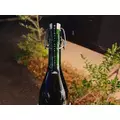 サキ|諫早市 永昌東町のキャバクラ|EDEN(エデン)