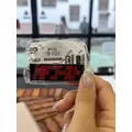 しおり|小田原市 栄町のガールズバー|& Co.(アンドコー)