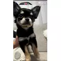 柏木 唯愛|名古屋市 中区錦の姉キャバクラ|ジュリアナ()