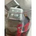 うみ|足立区 千住のキャバクラ|Donfin(ドンフィン)