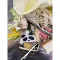 さら|さいたま市 大宮区宮町のガールズバー|Luce(ルーチェ)