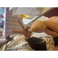 恋麦乃 ちょり|宮崎市 中央通のコンカフェ|Candy Made(キャンディーメイド)
