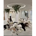 るみ|立川市 錦町の朝・昼キャバ|Mandarin Club（朝・昼）(マンダリンクラブ（朝・昼）)