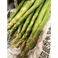 えりな|都城市 牟田町のキャバクラ|Jardin(ハルディン)
