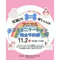 みこ|福岡市 博多区中洲のキャバクラ|ROYALE(ロワイヤル)