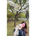 芹沢 莉瀬|札幌市 中央区南のニュークラブ|Leicester(レスター)