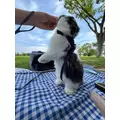 高槻 かえで|浜松市 中央区千歳町の熟女キャバクラ|gllow(グロウ)