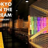 Tokyo on the Dream