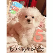 夏樹 あや