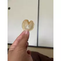 なお