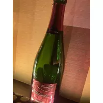 白石 愛莉