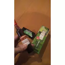 本城 椿