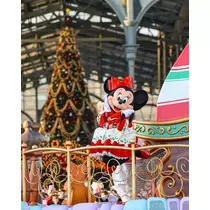 姫花